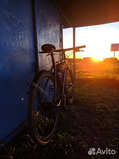 Format 5341 планетарка Shimano Nexus 8