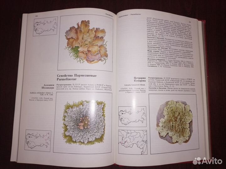 Красная книга РСФСР. Растения