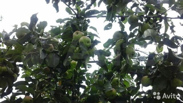 Участок 6 сот. (СНТ, ДНП)