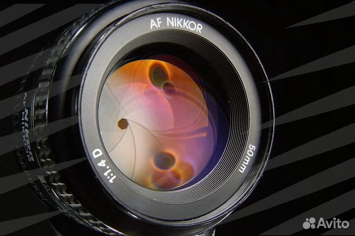Nikon AF 50 mm F1.4 D / 431