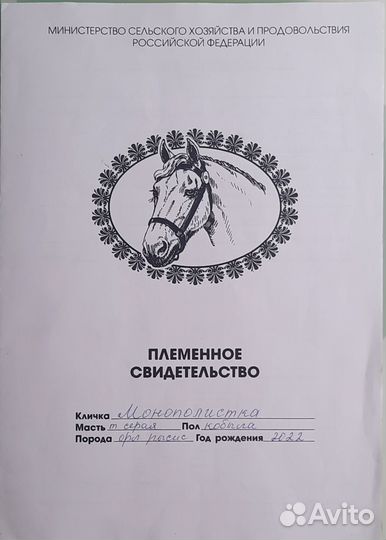 Продам лошадь