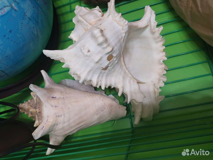 Декор для аквариума