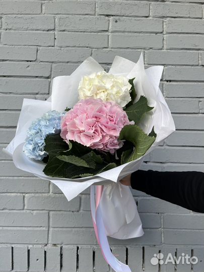 Гортензии букет гортензий цветы доставка