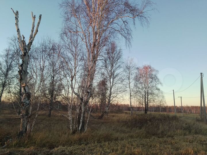 Участок 6 сот. (СНТ, ДНП)