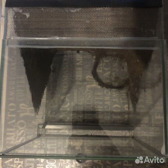 Террариум для змеи