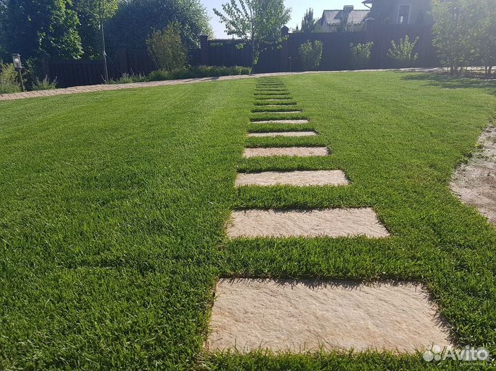 Рулонный газон под ключ