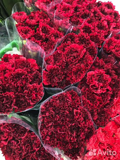 Букет из диантусов