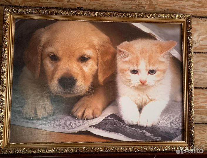 Картина б/у