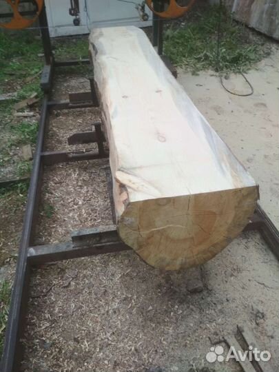 Кело,сухая сосна, лиственница