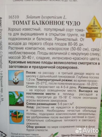 Рассада томатов, помидоры для теплицы
