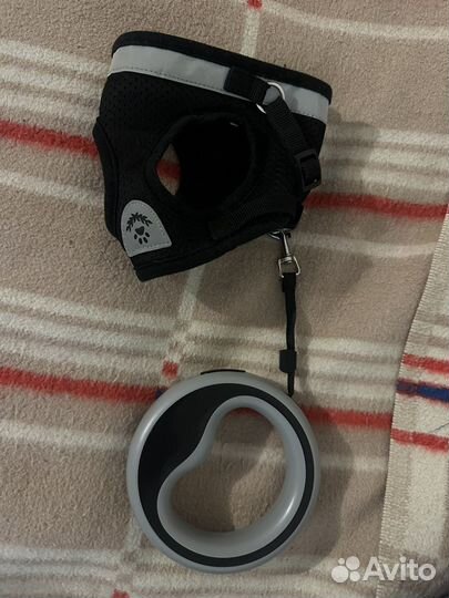 Шлейка и поводок пулетка