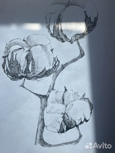 Алоэ Картина графика тушь постер зарисовка