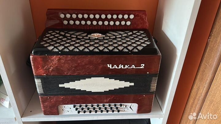 Гармонь Чайка-2