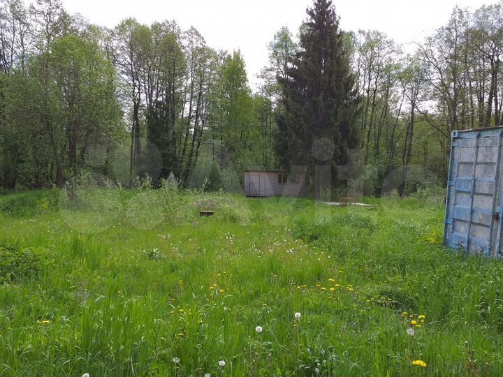 Участок 9,6 сот. (СНТ, ДНП)