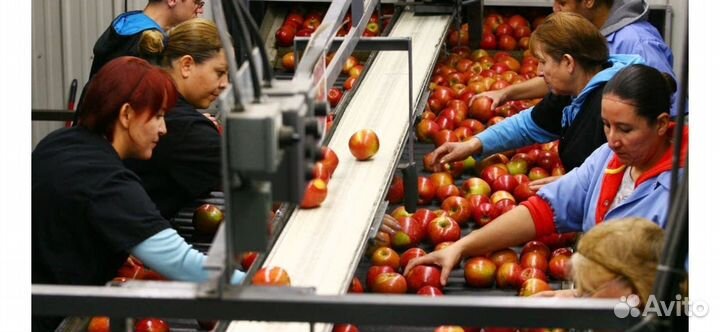 Упаковщик Вахта жилье + питание