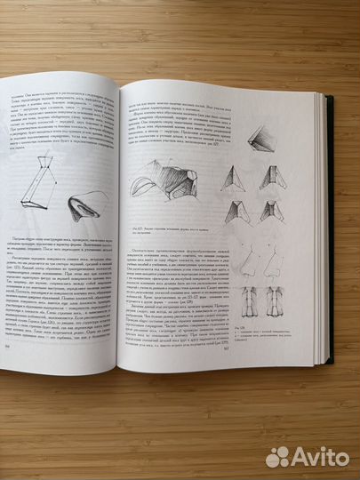 Основы учебного академического рисунка Николай Ли