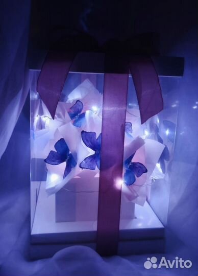 Коробка с бабочками