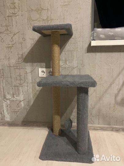 Когтеточка