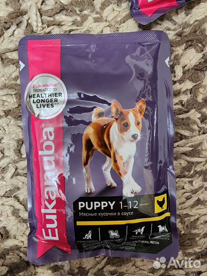 Eucanuba и Purina для щенков