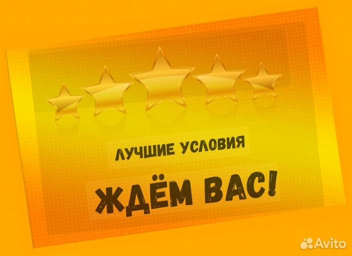 Сортировщик Еженедельный аванс Спецодежда М/Ж