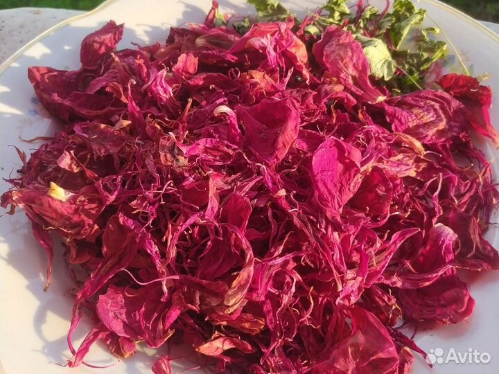 Сухие лепестки пиона для творчества