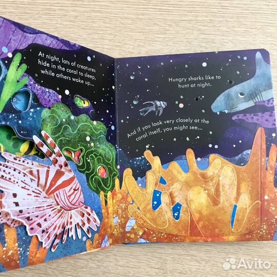 Морской берег Коралловые рифы Море