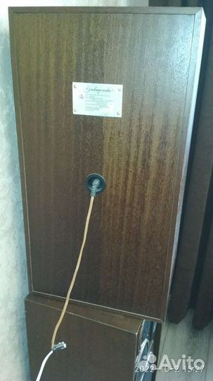 Акустические колонки электроника