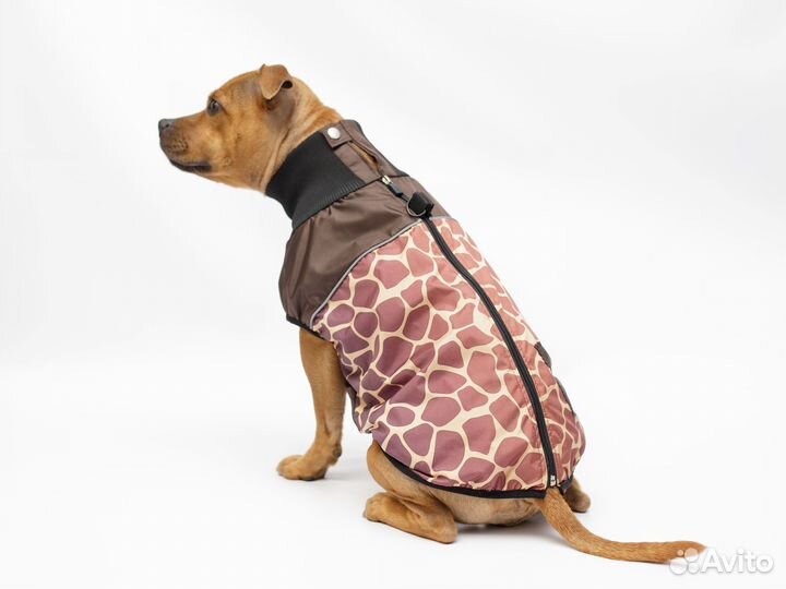 Жилетка для собак