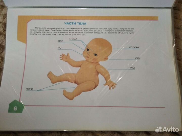 Альбом по развитию речи