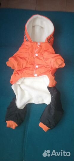 Продам комбинезон для собак