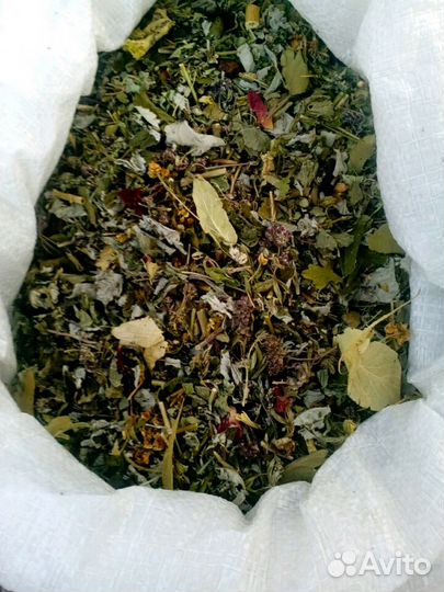 Травы,сборы