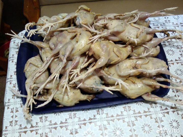 Мясо перепелов