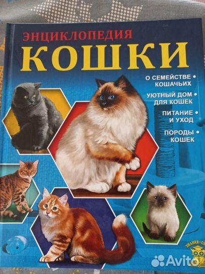 Книга: энциклопедия кошки