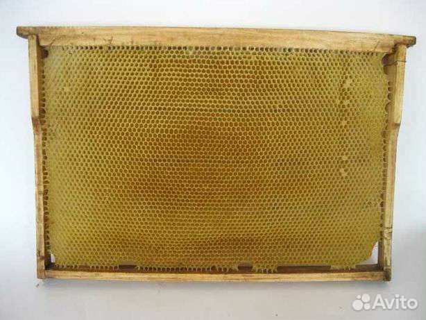 Сушь в рамках