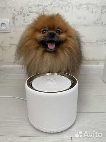 Питьевой фонтан для собаки или кошки