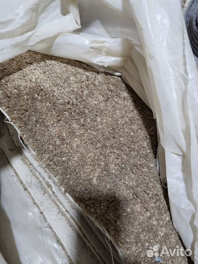 Ковровое покрытие