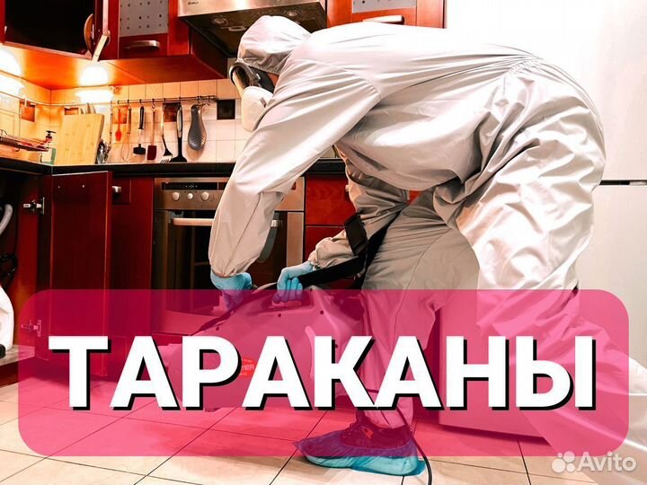 Уничтожение тараканов, клопов, дезинфекция