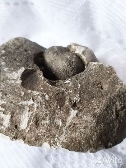 Камень в коллекцию