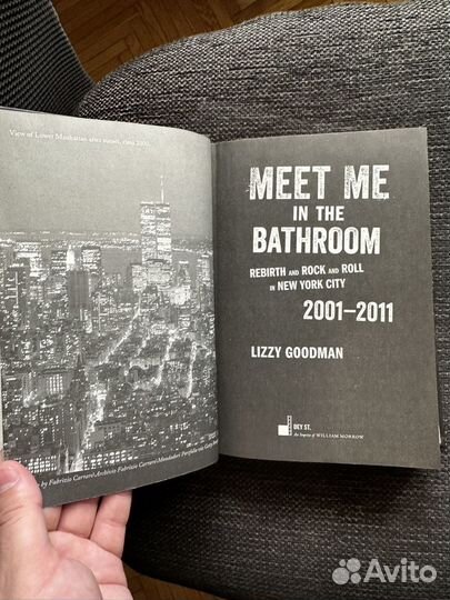 Lizzy Goodman, Meet Me in the Bathroom (книга)