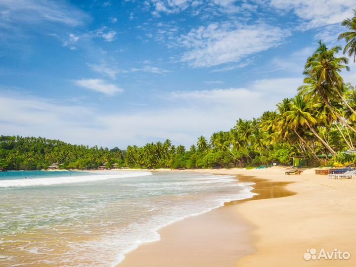 Тур на Sri-Lanka на 7 ночей за двоих чел