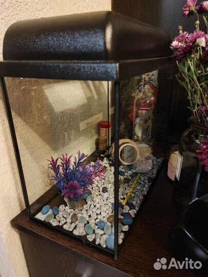 Аквариум 20 л (и принадлежности)