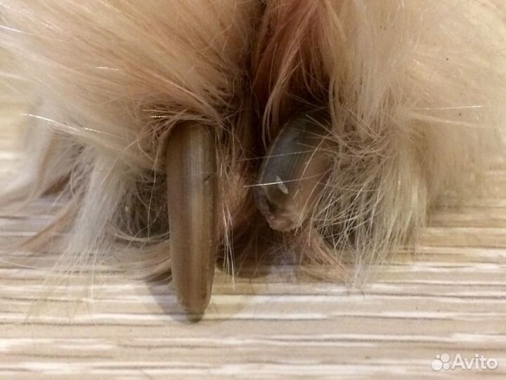 Стрижка когтей, экспресс-линька