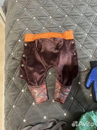 Одежда для собак