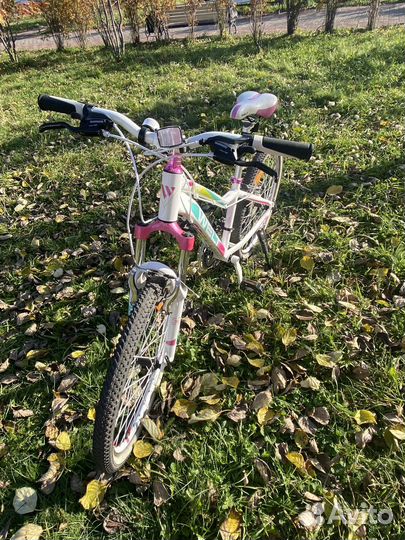 Велосипед Welt Edelweiss 24 (2019)