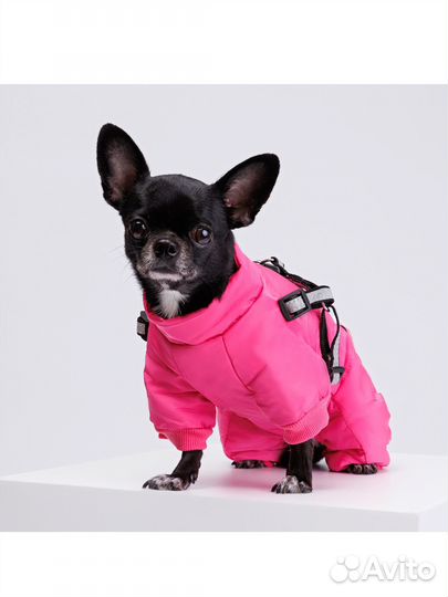 Комбинезон для собаки девочки