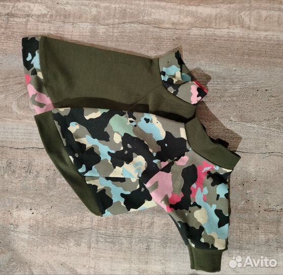 Одежда для животных