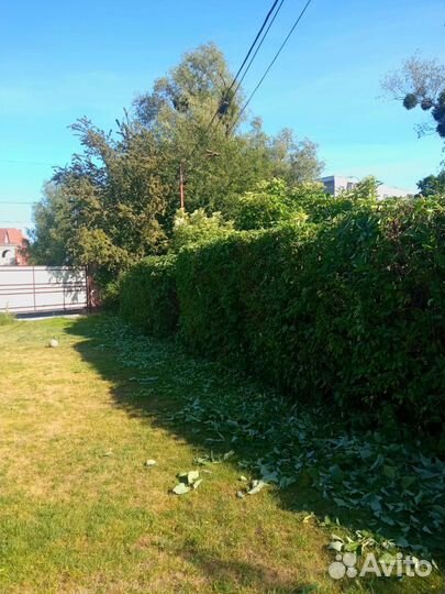 Помощь по дому/даче