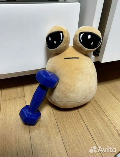 Пу с дополнениями