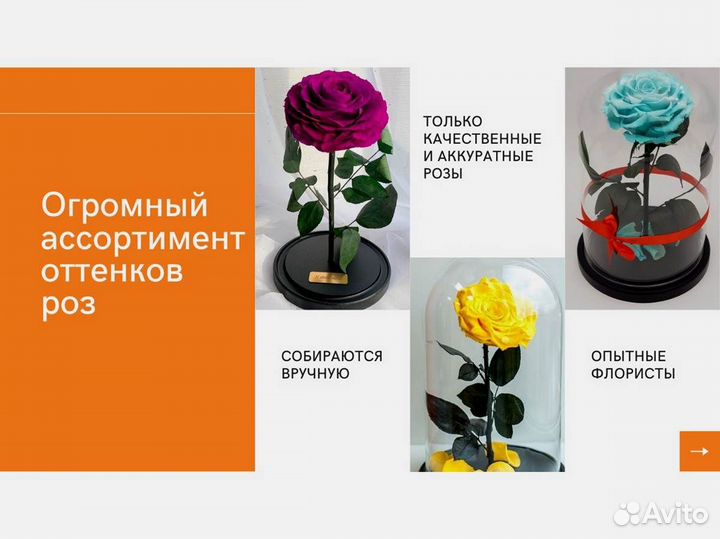 Роза в колбе. Неувядающая