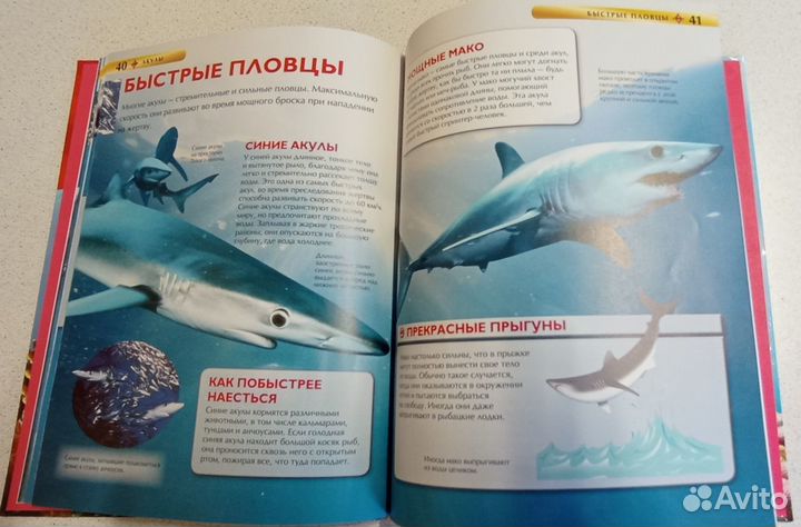 Энциклопедии Животные/Акулы/Космос